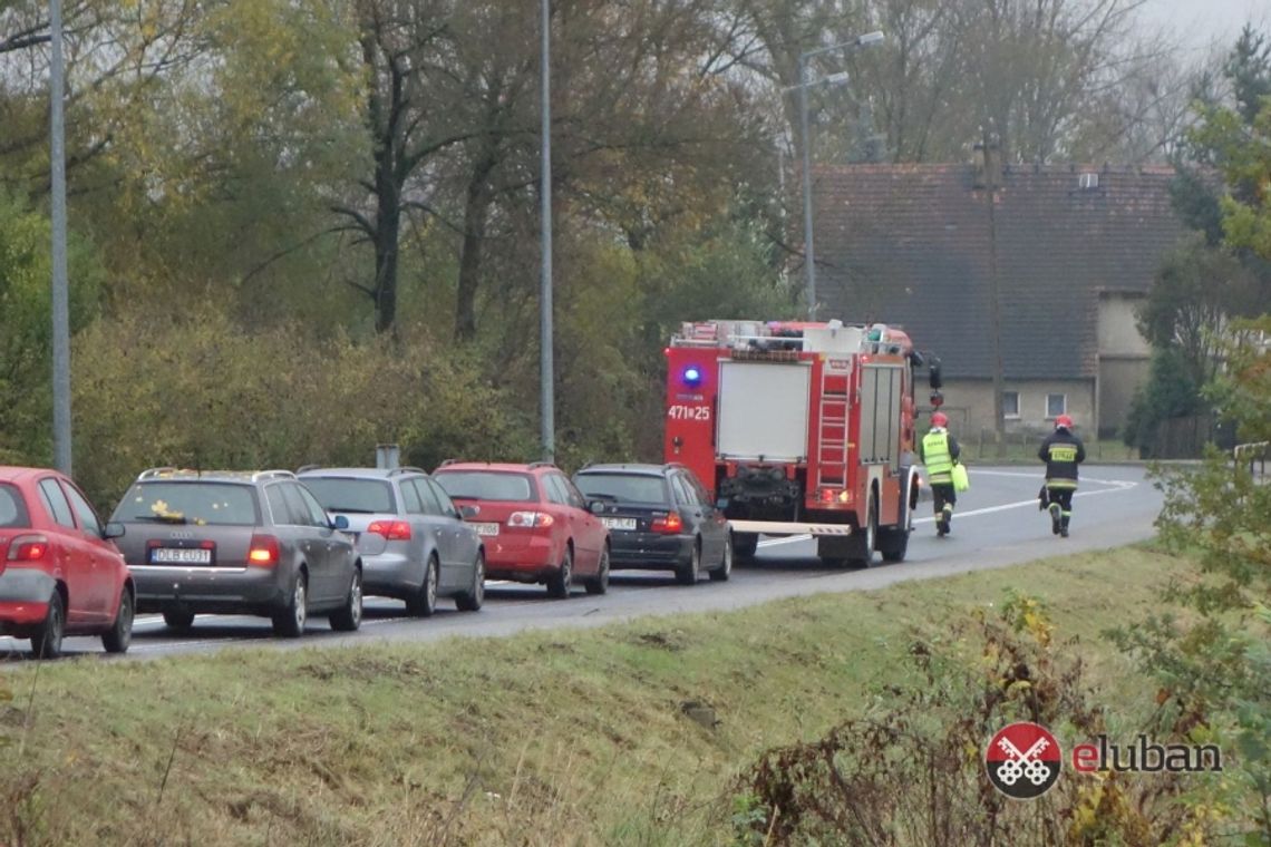 Olej na drodze między Lubaniem a Leśną