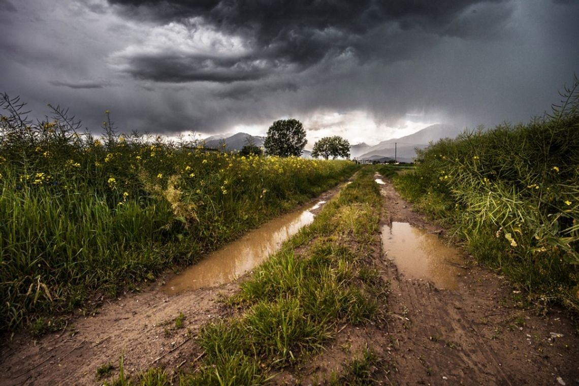 Pisarzowice – droga dojazdowa do gruntów rolnych