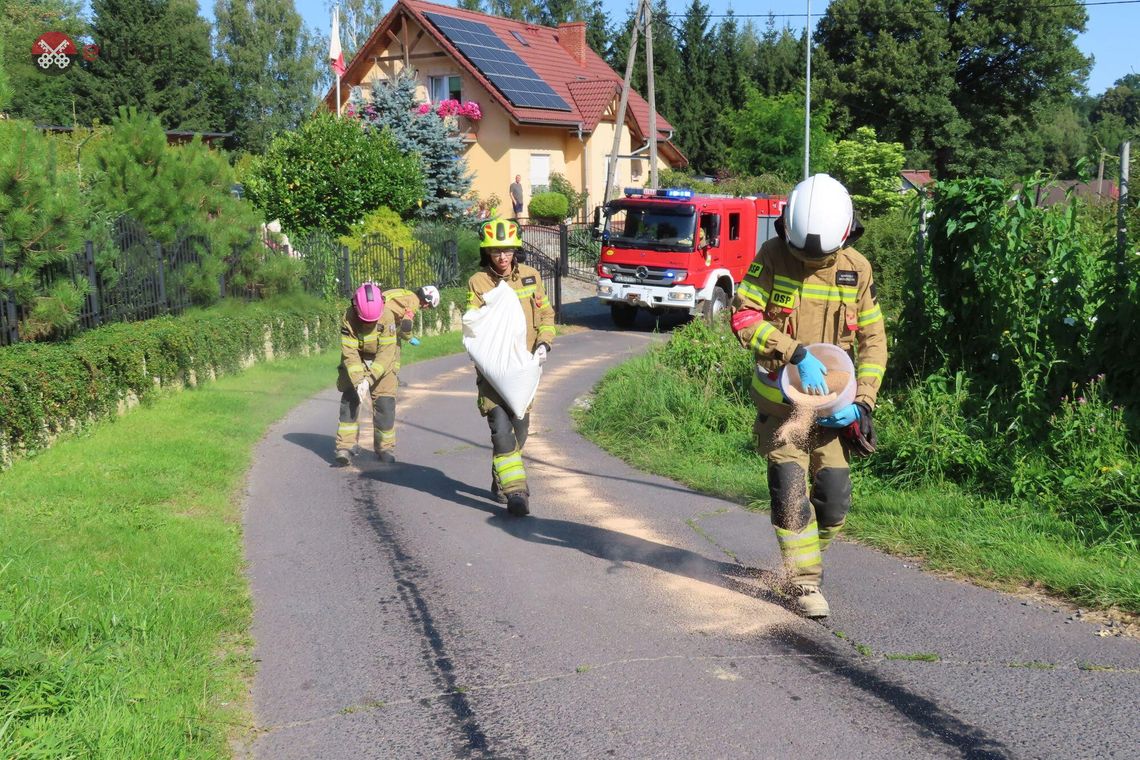 Plama oleju na drodze. Interweniowali strażacy