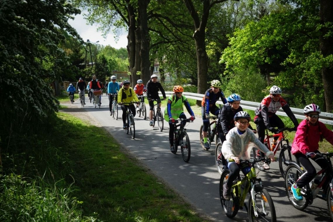 Plan rajdów rowerowych w regionie