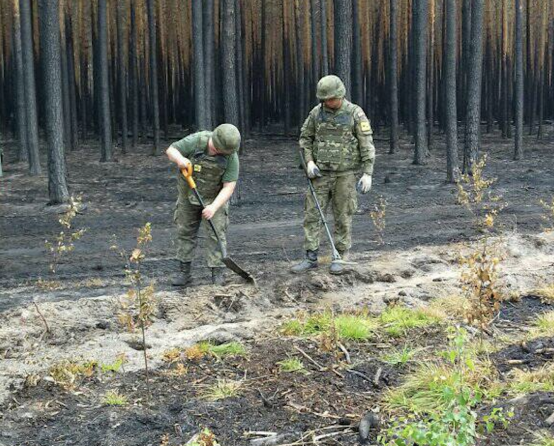 Po pożarze Borów Dolnośląskich muszą interweniować saperzy, pogorzelisko jest niebezpieczne