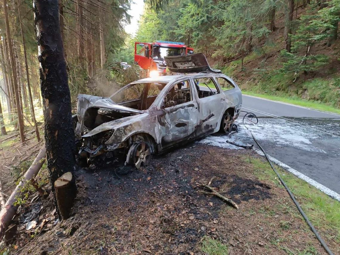 Po tym jak auto zaczęło płonąć, kierowca uderzył w drzewo