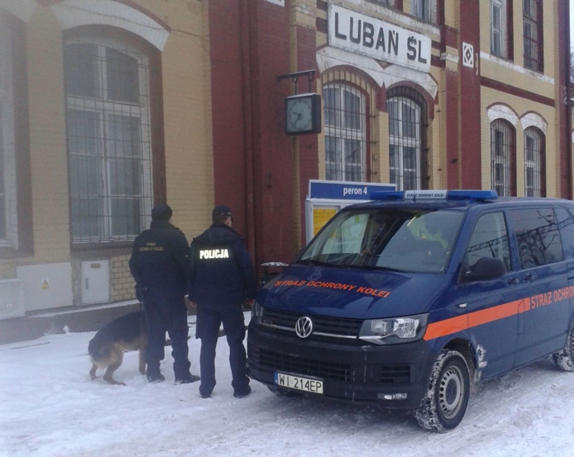 Policja i SOK skontrolowali punkty skupu złomu