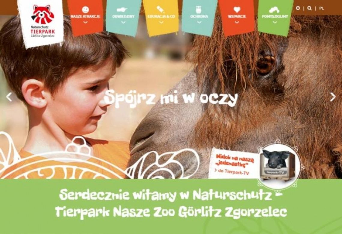 Pomyszkujmy na nasze-zoo.pl!