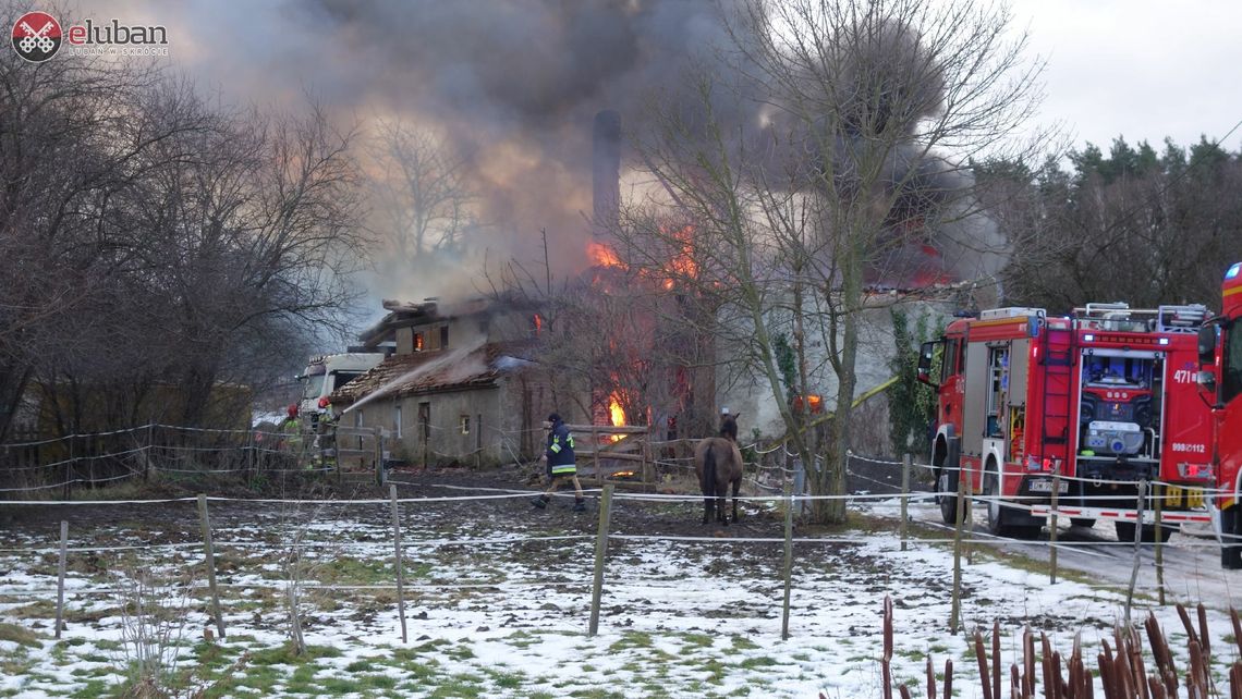 Potężny pożar w Wyrębie. Rodzina straciła cały dobytek