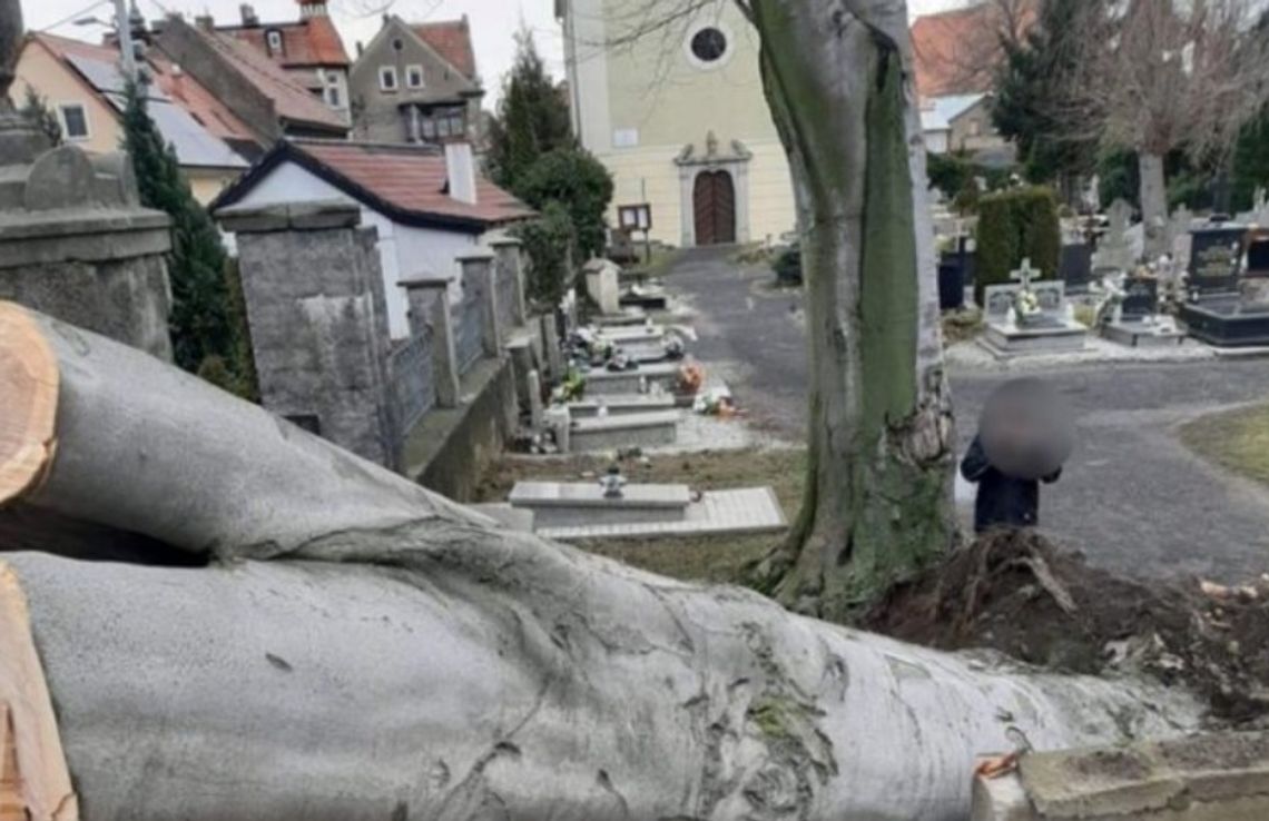 Poważne straty na cmentarzu w Mirsku