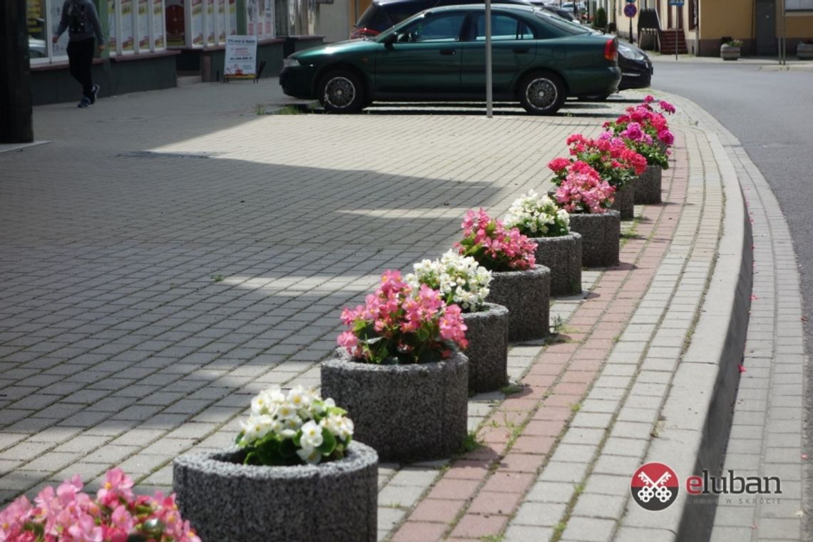 Powstrzymał wandali przed dewastacją teraz sam zapłaci mandat?