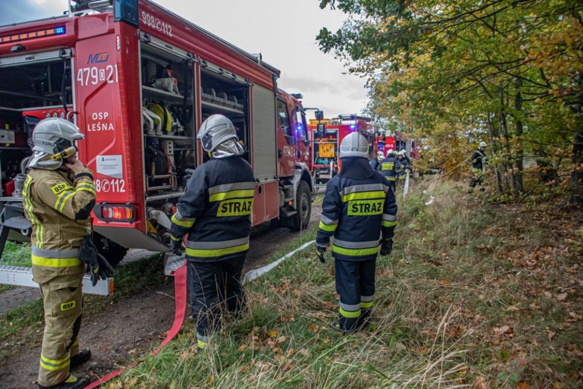 Pożar lasu i transgraniczne ćwiczenia strażaków