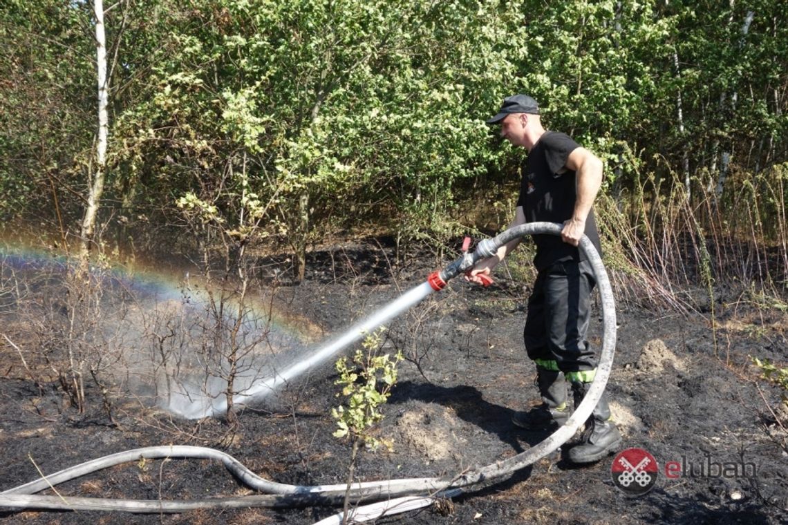 Pożar przy ulicy Granicznej