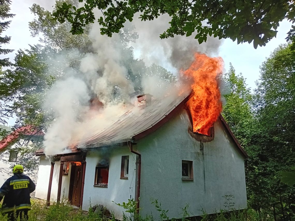 Pożar pustostanu w Świeradowie-Zdroju, trwa akcja gaśnicza [WIDEO]