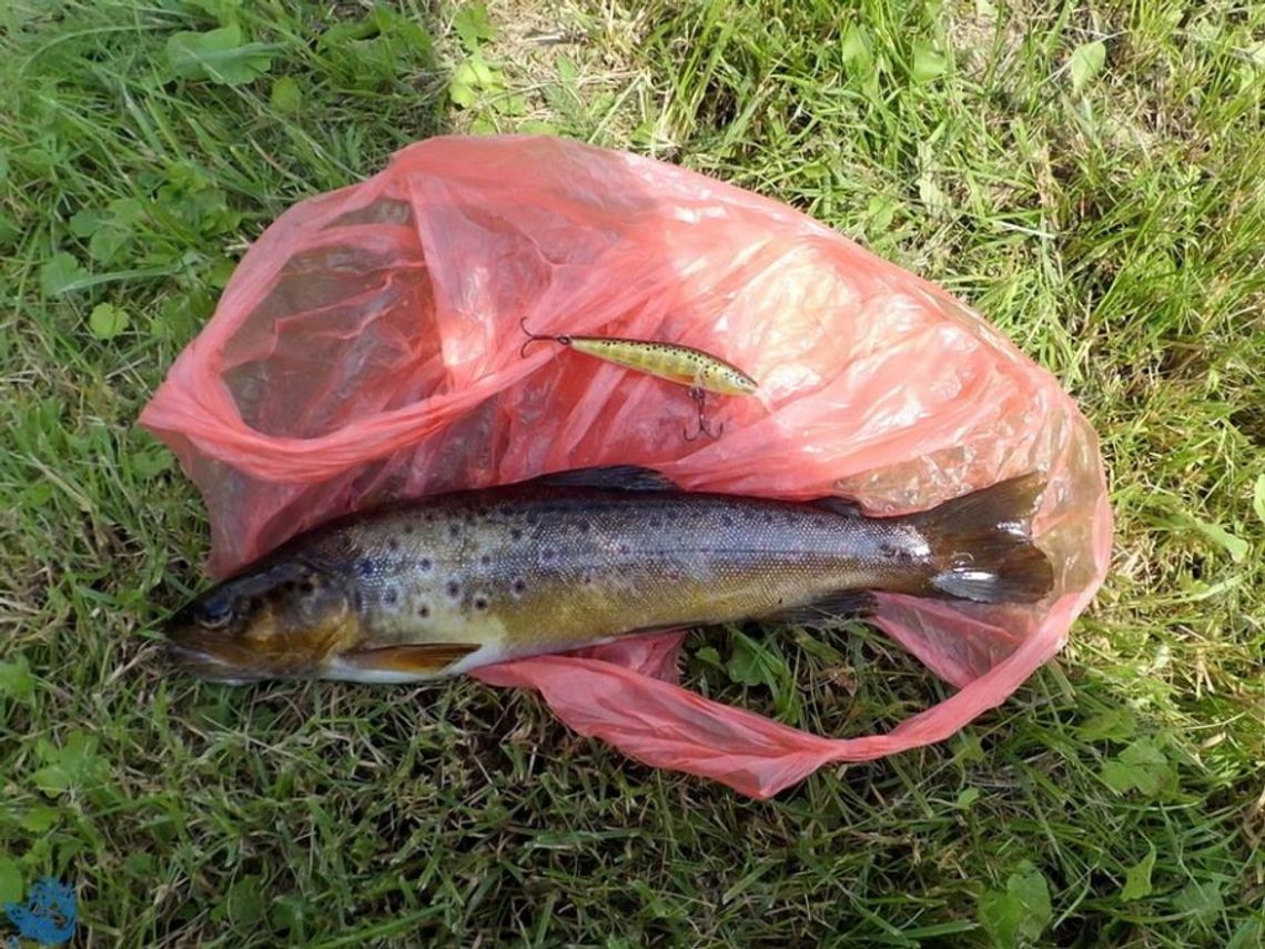 Pracowite lato nad wodą