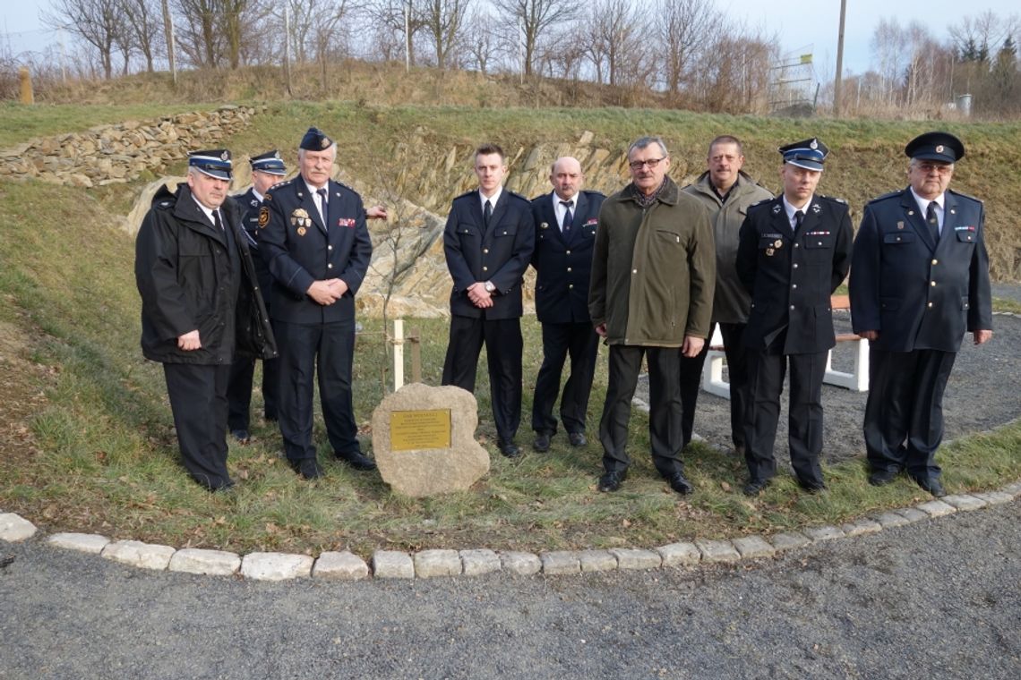 Prezydencki „Dąb Wolności” zasadzony w Leśnej