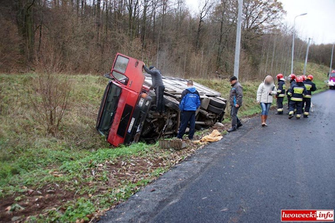 Przewoził bydło, wypadł z drogi