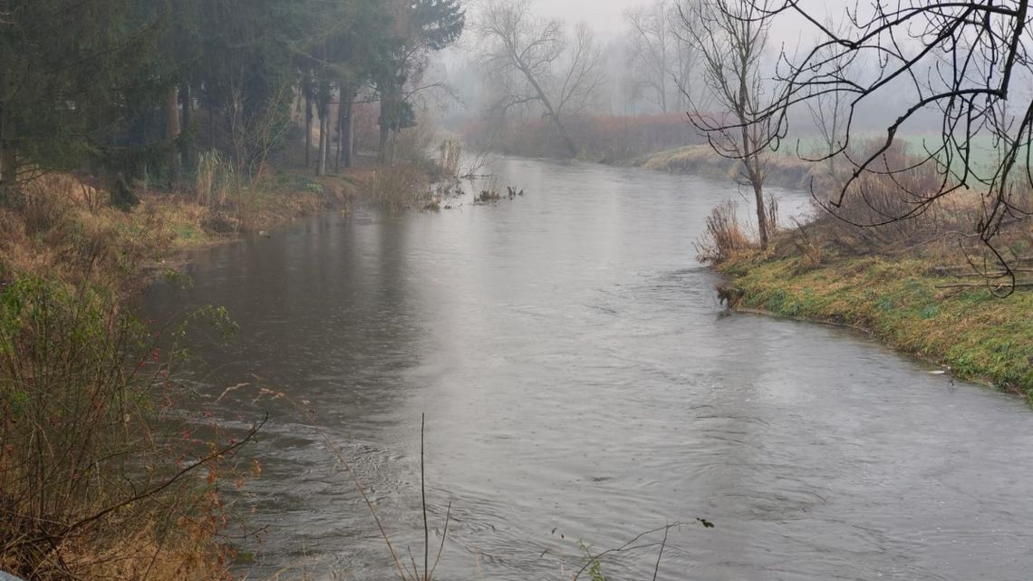 Rośnie poziom wody w rzekach. IMGW wydał ostrzeżenie