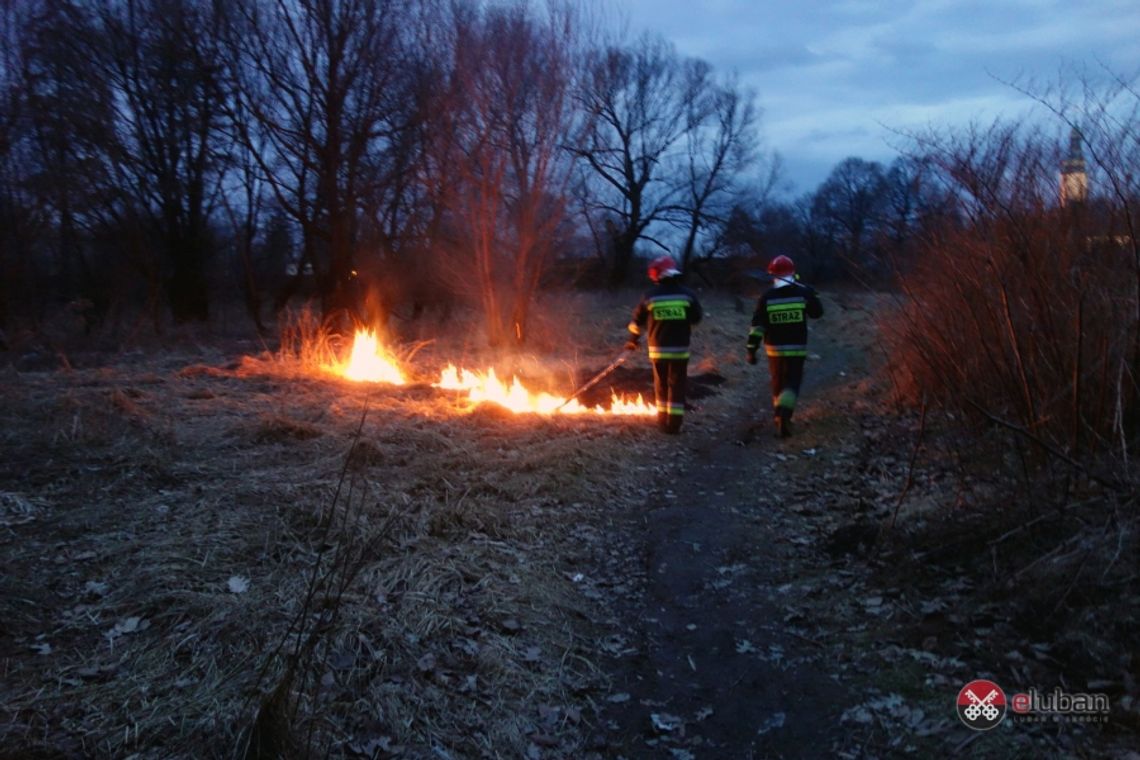 Ruszył sezon wypalania traw