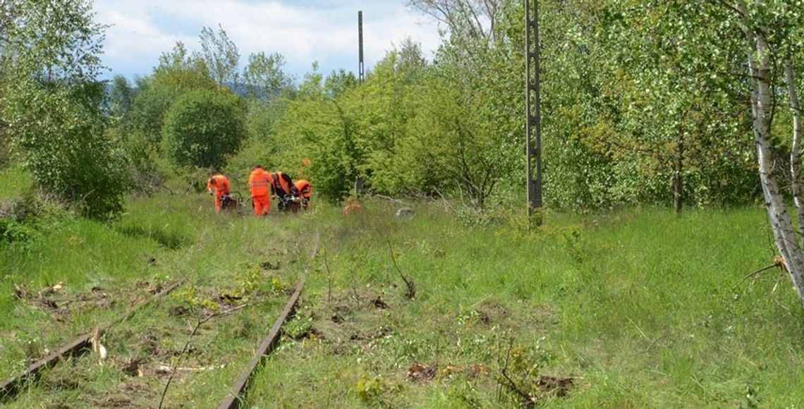 Ruszyły pierwsze prace przy rewitalizacji linii kolejowej Gryfów-Mirsk-Świeradów-Zdrój