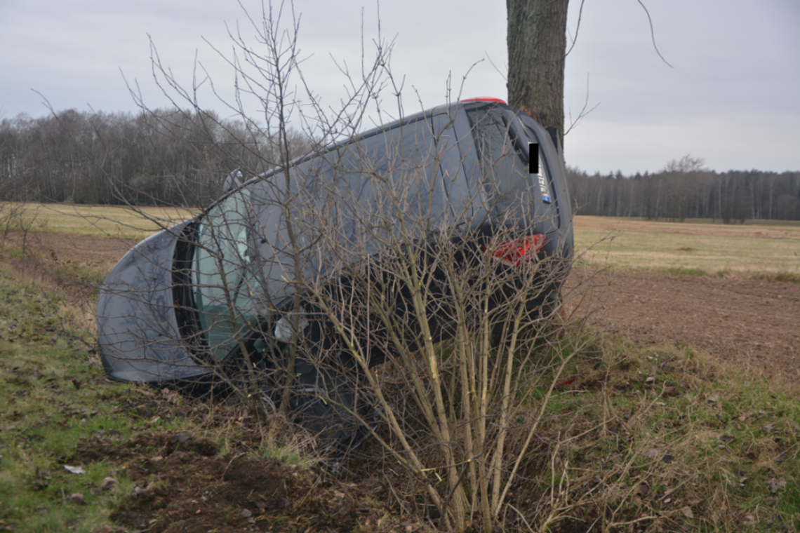 Samochód wylądował na drzewie