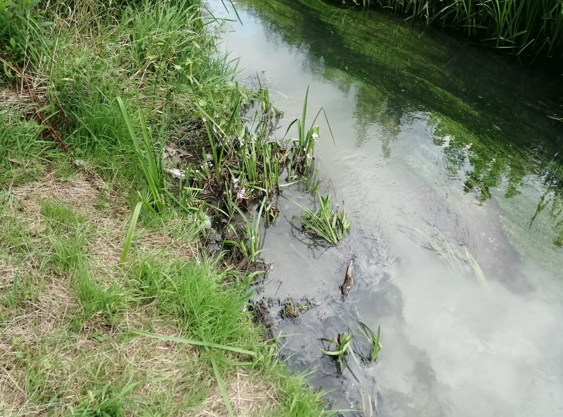 Ścieki w Siekierce. Dzięki interwencji mieszkańców i miejskich służb szybko usunięto wyciek
