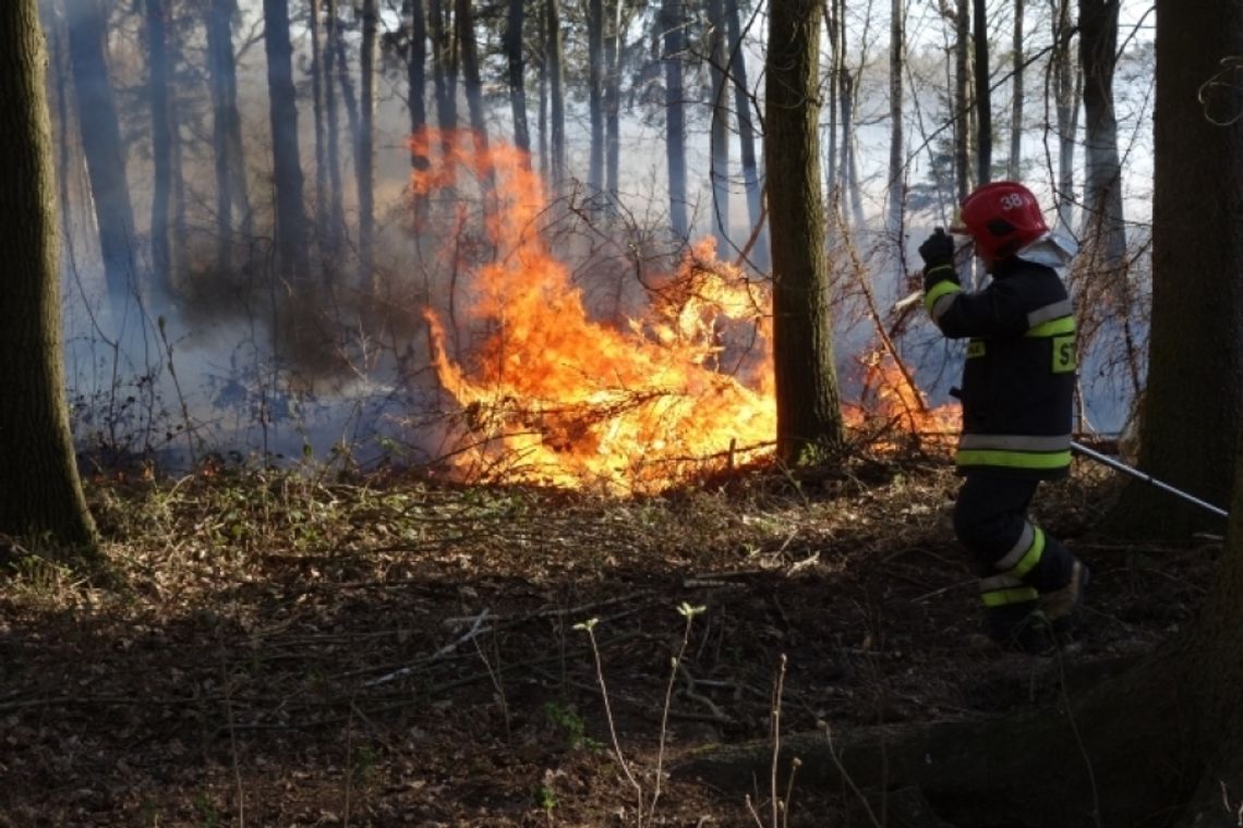 Straż pożarna apeluje: nie wypalaj traw!