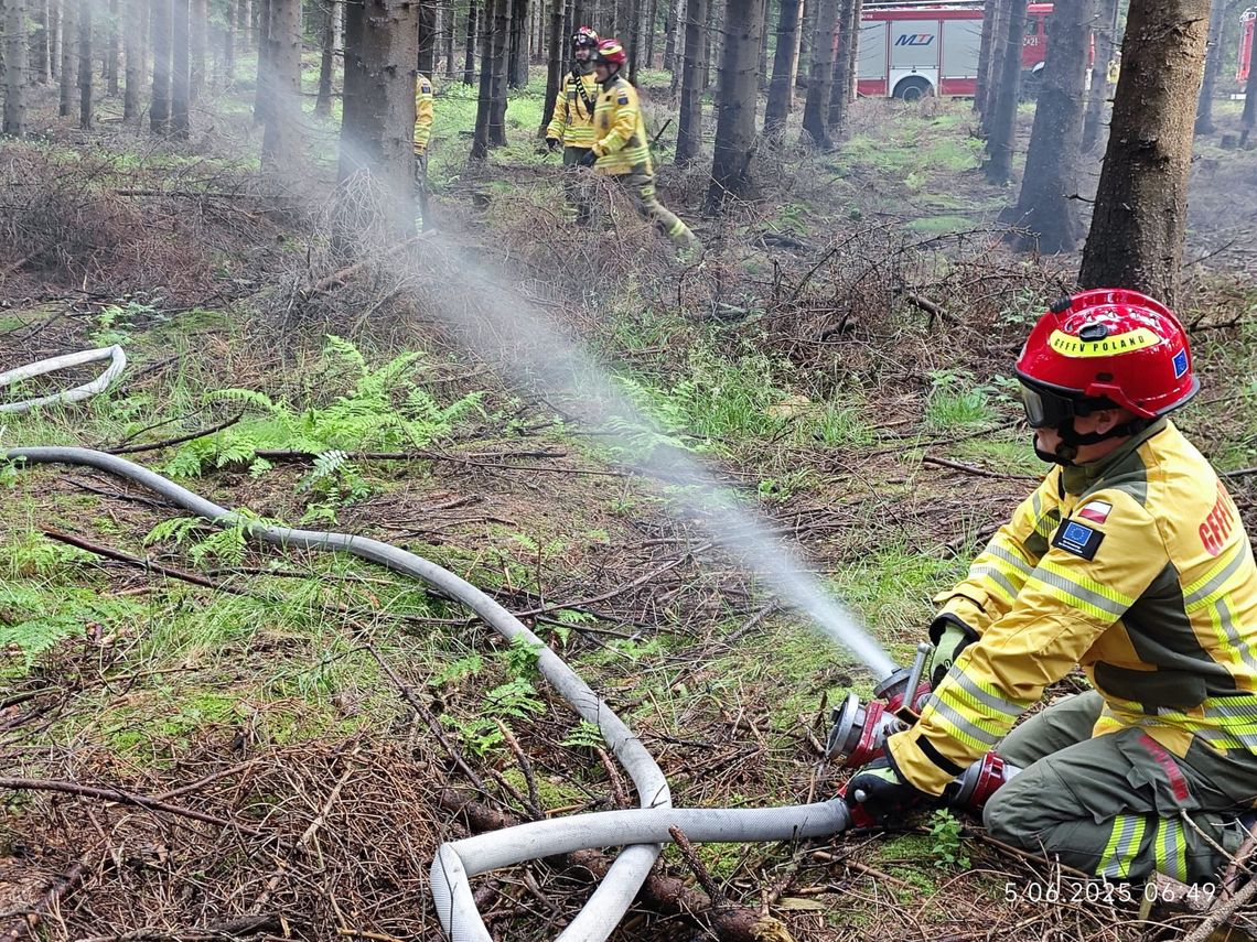 Strażacki konwój przejechał przez Lubań. W Świeradowie trwają wojewódzkie ćwiczenia