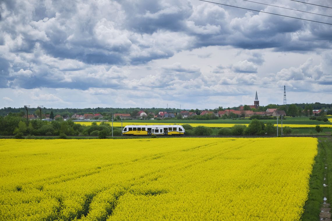 Tańsze podróże koleją po Dolnym Śląsku. Koleje Dolnośląskie i Polregio łączą weekendową ofertę