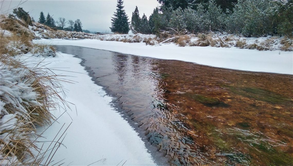 Torfowiska Doliny Izery na liście obszarów Ramsar