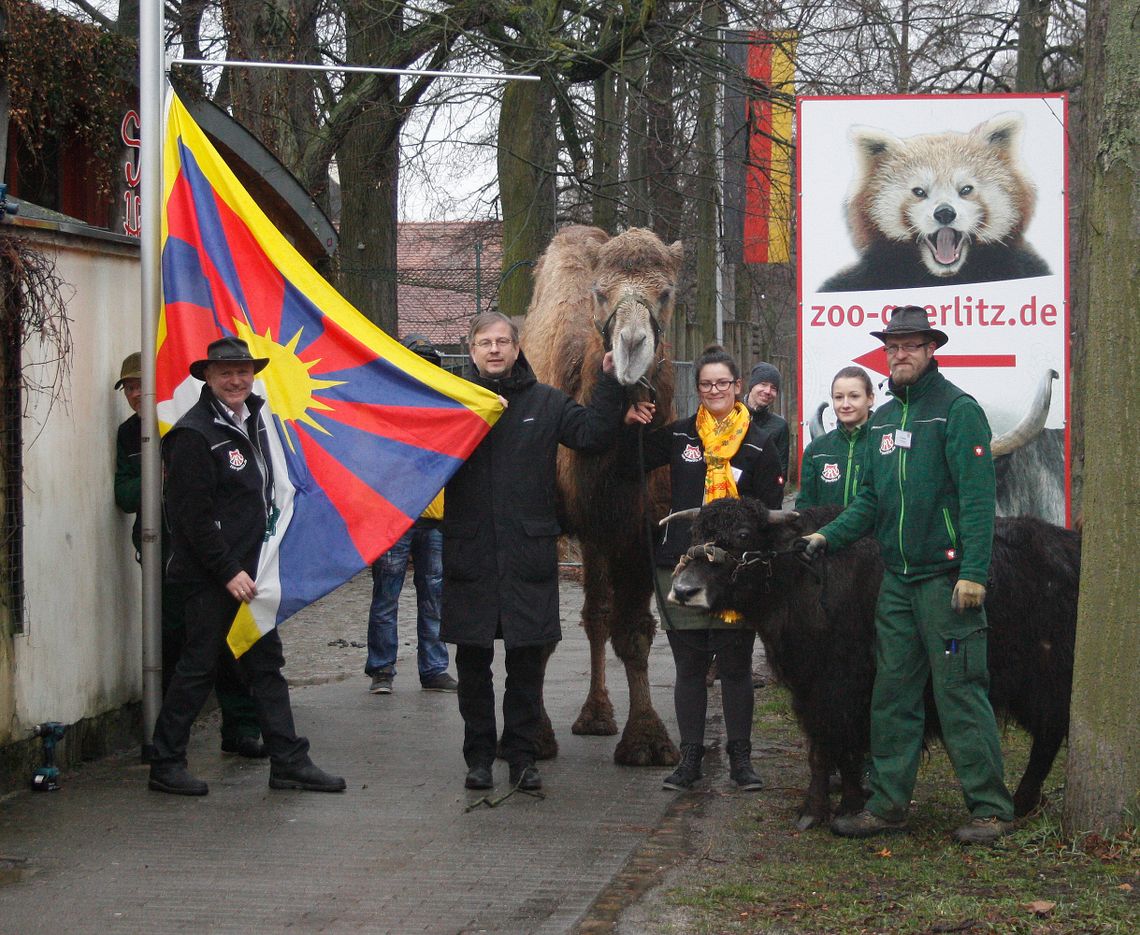 Tybetańska flaga znów powiewa w Naszym Zoo Görlitz-Zgorzelec