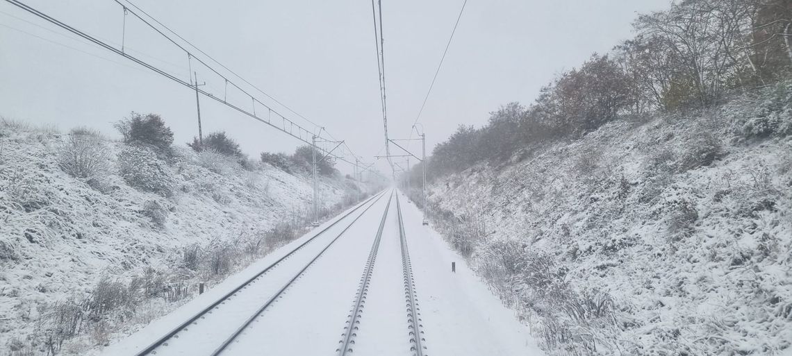 Ukradli sieć trakcyjną miedzy Zebrzydową a Węglińcem. Pociągi z opóźnieniami