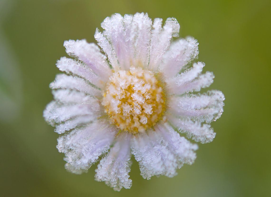 Uwaga na przymrozki! Tej nocy lokalnie nawet -8°C