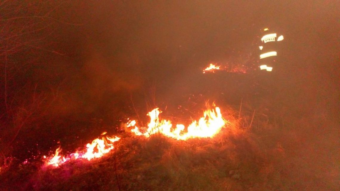 W gminie Leśna szukają podpalacza