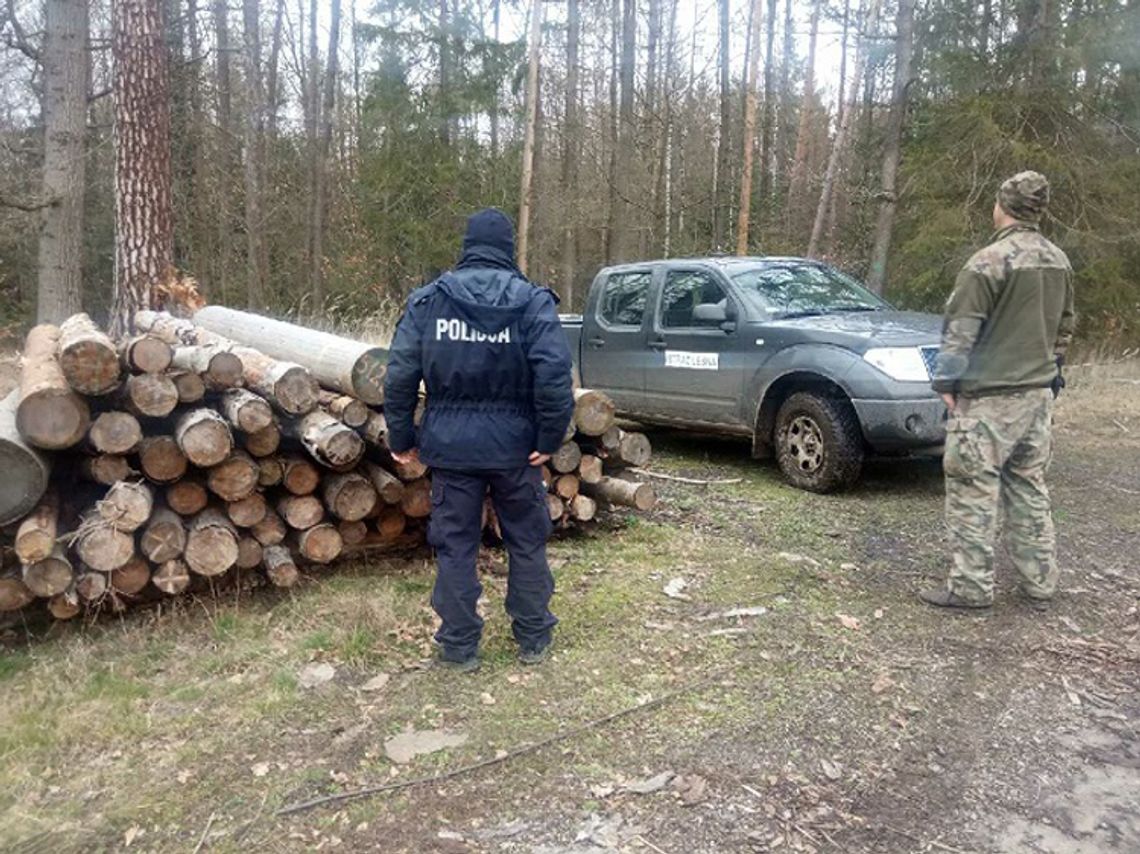 Wspólne patrole straży leśnej i policji