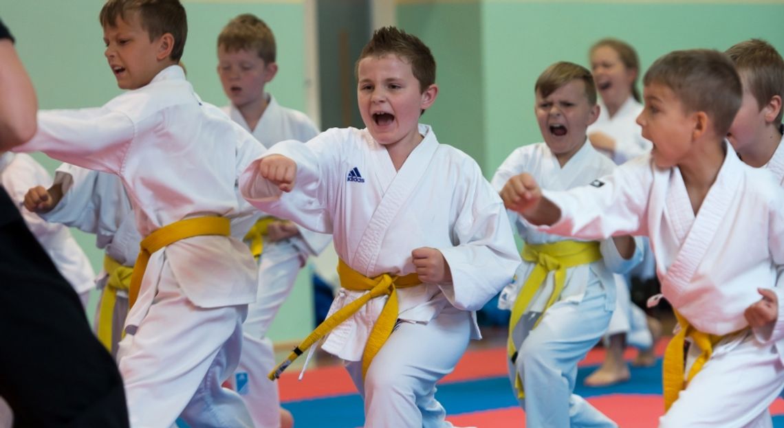 XIV Turniej Samuraja w Karate  -  Pisarzowice 2017