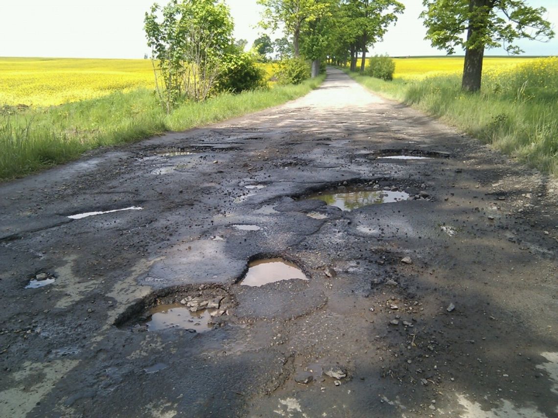 Zadbajmy razem o bezpieczeństwo na drogach powiatu lubańskiego!