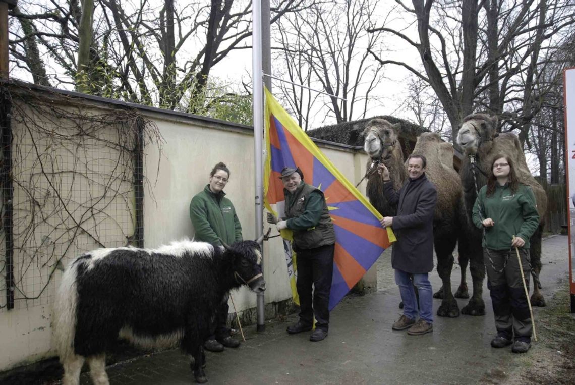 Zawieszenie flagi dla Tybetu i obrony praw człowieka