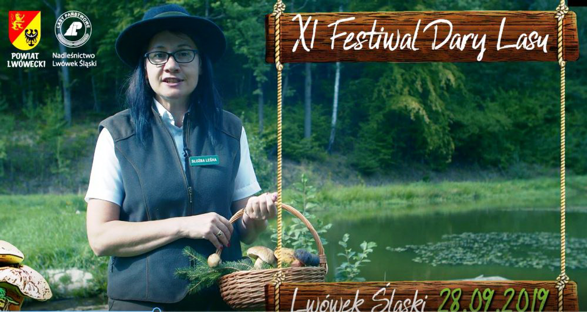 Zbliża się XI Dolnośląski Festiwal Dary Lasu