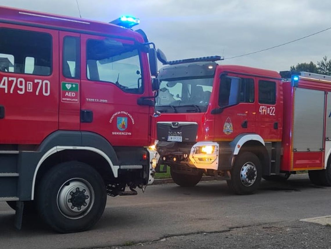 Złodziejstwo ma się dobrze, a złodzieje są coraz bardziej zuchwali