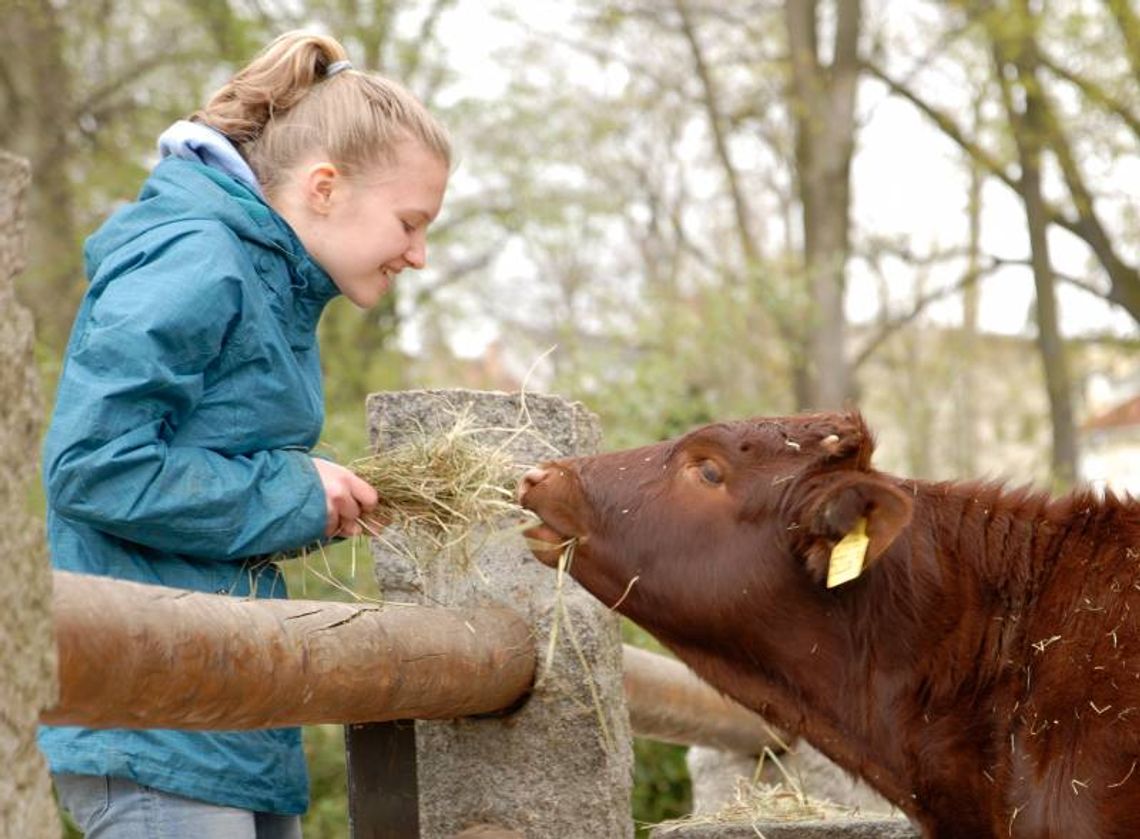 Zoo w Görlitz ponownie otwarte od 15 marca