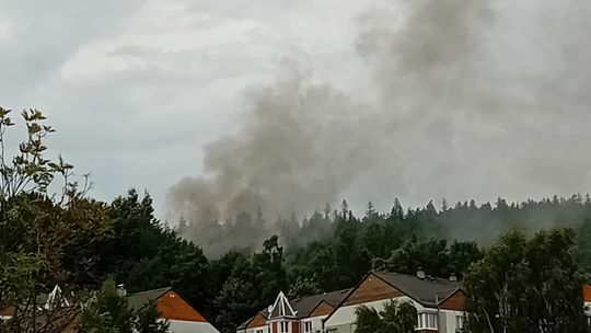 Pożar pustostanu w Świeradowie-Zdroju, trwa akcja gaśnicza