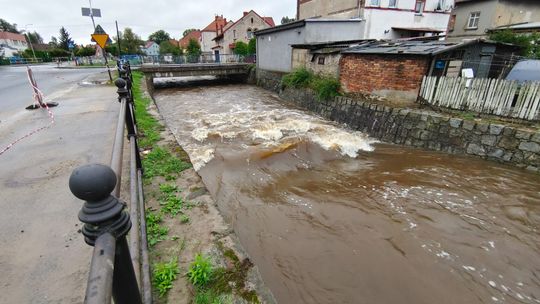 Leśna