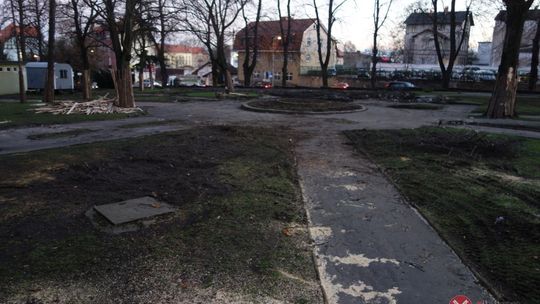 Nowe oblicze parku