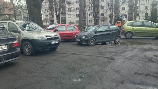 Mistrzowie parkowania