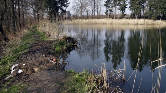 Sprzątanie nad wodą