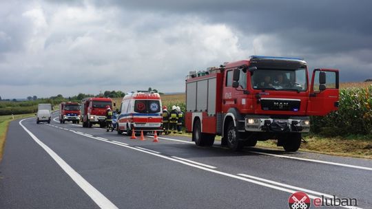 Zakończyły podróż w polu kukurydzy