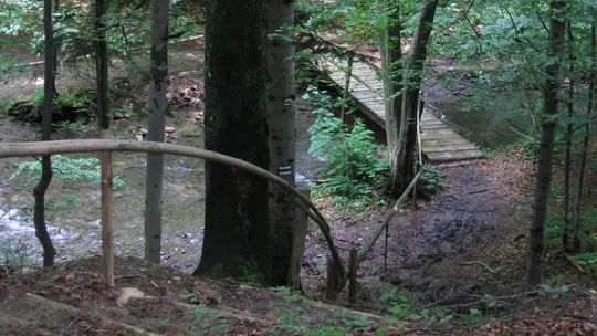 Wyjdź tylko za próg własnych ograniczeń