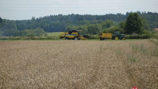 Pożar w trakcie żniw