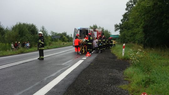 Dachowanie między Biedrzychowicami a Gryfowem