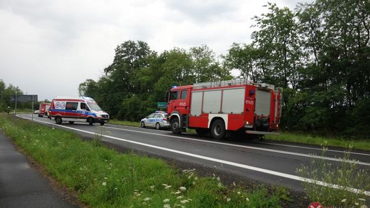 Dachowanie między Biedrzychowicami a Gryfowem