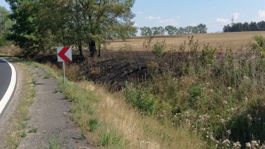 Podpalenie pól koło Henrykowa