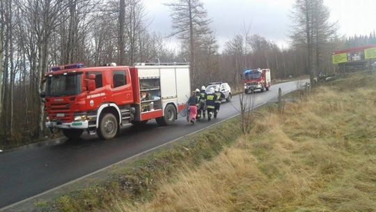 Autobus z 54 pasażerami wypadł z drogi