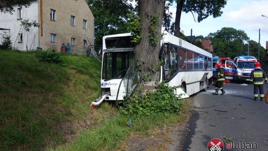 Wypadek autobusu w Zarębie